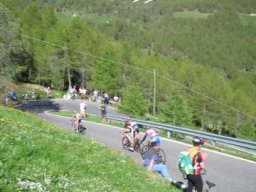 mortirolo (49)